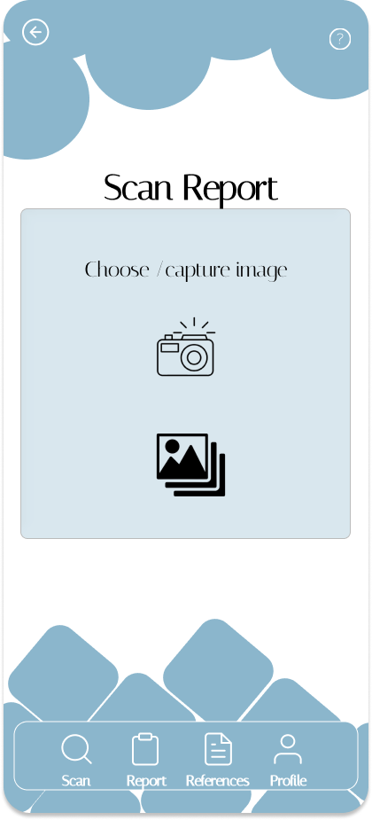 SCAN REPORT